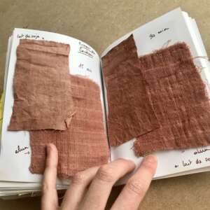 Atelier - Découverte de la teinture végétale sur tissus